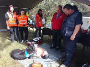 IMG_20160917_101435 PL